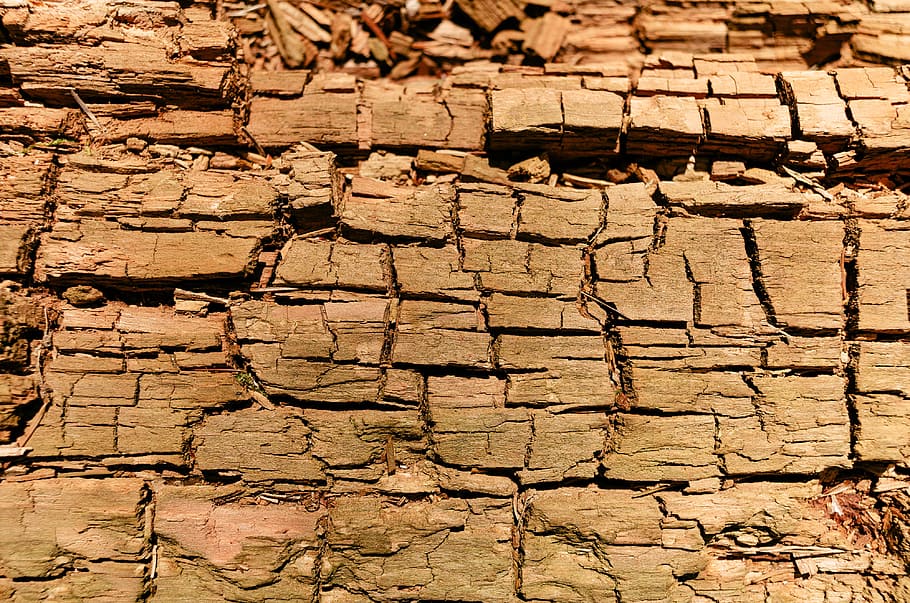 Old wood, abstract, nature, dry, cracked, backgrounds, brown, HD wallpaper