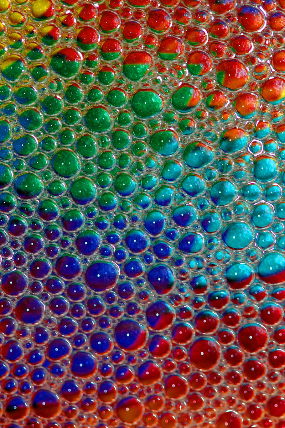 bubbles, soap, water, reflection, colors, transparent, abstract HD wallpaper