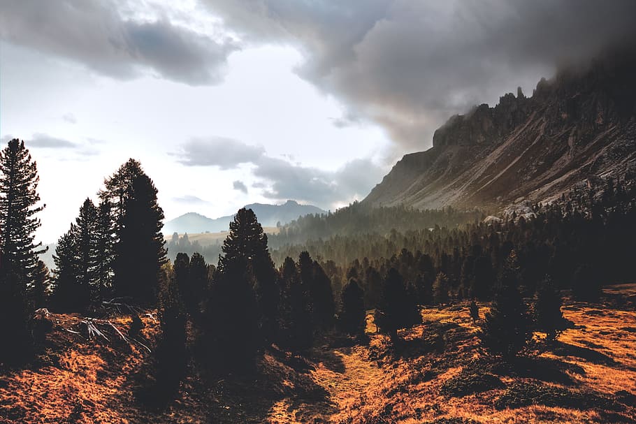 Silhouette of Mountain Hill With Pine Trees Under White Cloud Blue Sky HD wallpaper