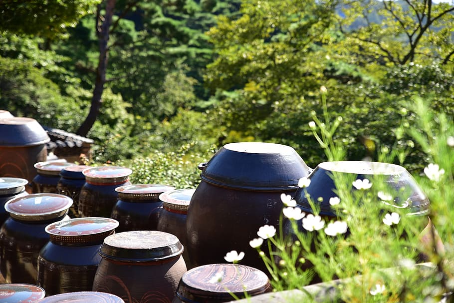 brown urns surrounded with plants, korea, republic of korea, incheon