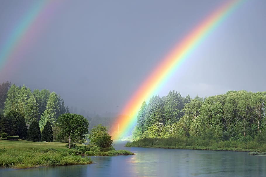 green leafed trees painting, Rainbow, River, Nature, Landscape HD wallpaper