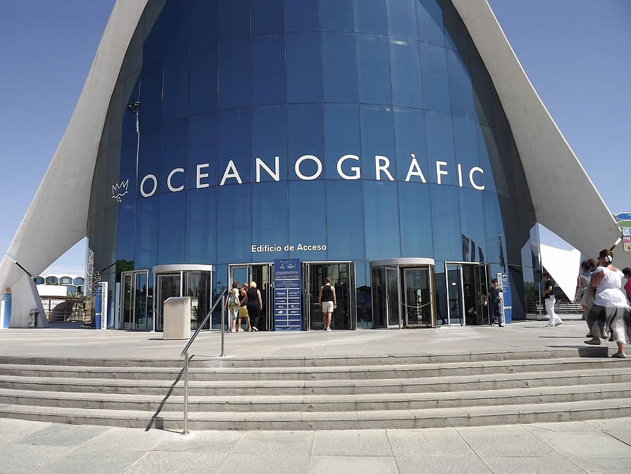 Valencia, Museum, Fish, oceanografic, sea, day, airport, built structure HD wallpaper