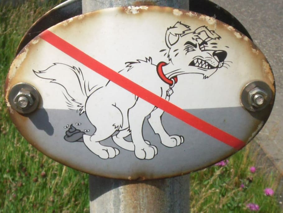 prohibitory, ban, sheet, shield, dog, close-up, art and craft HD wallpaper