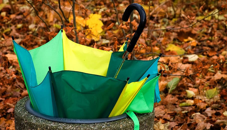 umbrella, disposable, defect, autumn, green yellow, golden autumn HD wallpaper
