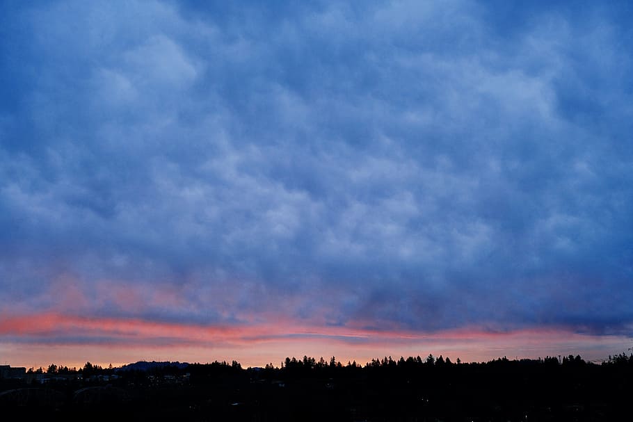 white clouds over silhouette of trees, untitled, Timing is Everything HD wallpaper