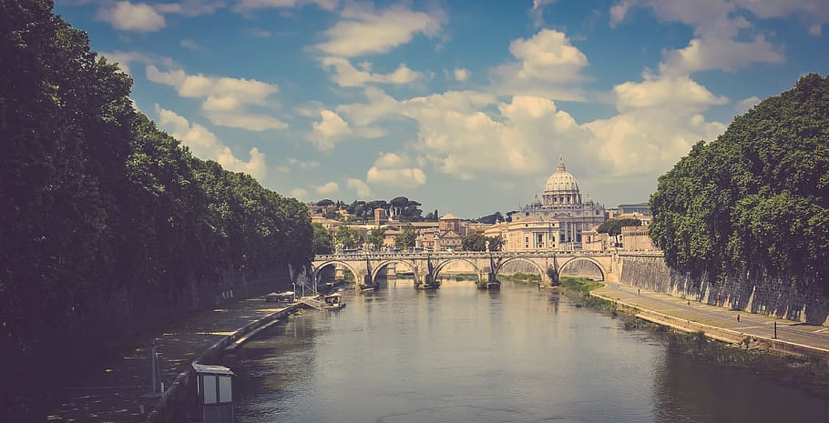 body of water between trees, city, italy, rome, river, tiber