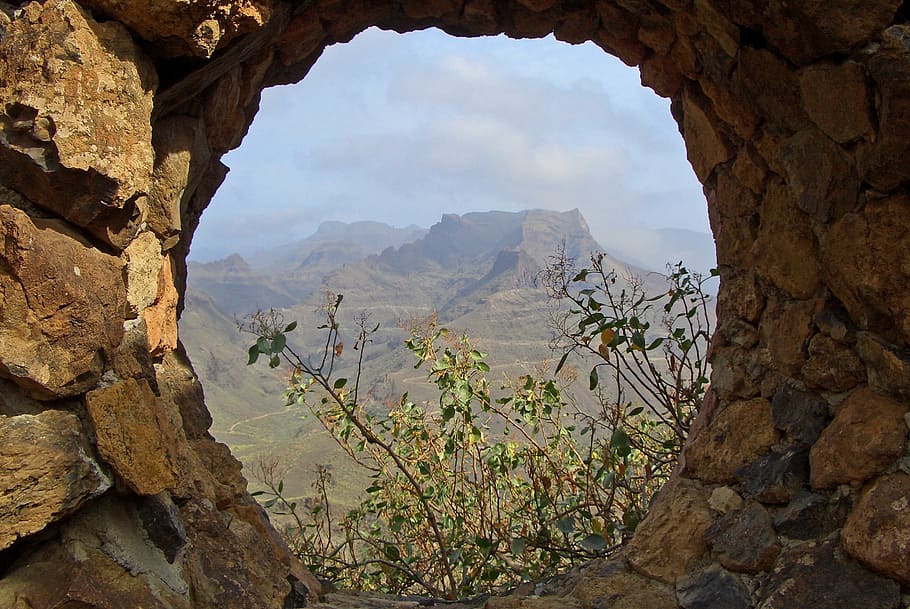 green leafed plants beside rock formation, gran canaria, mountain HD wallpaper