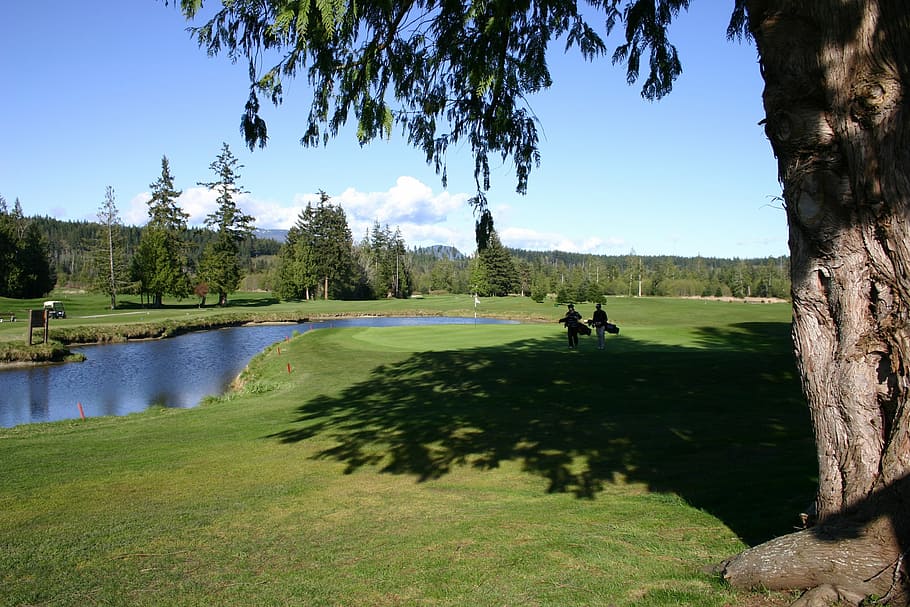 golf, nature, outdoors, course, grass, green, sport, club, golfer HD wallpaper