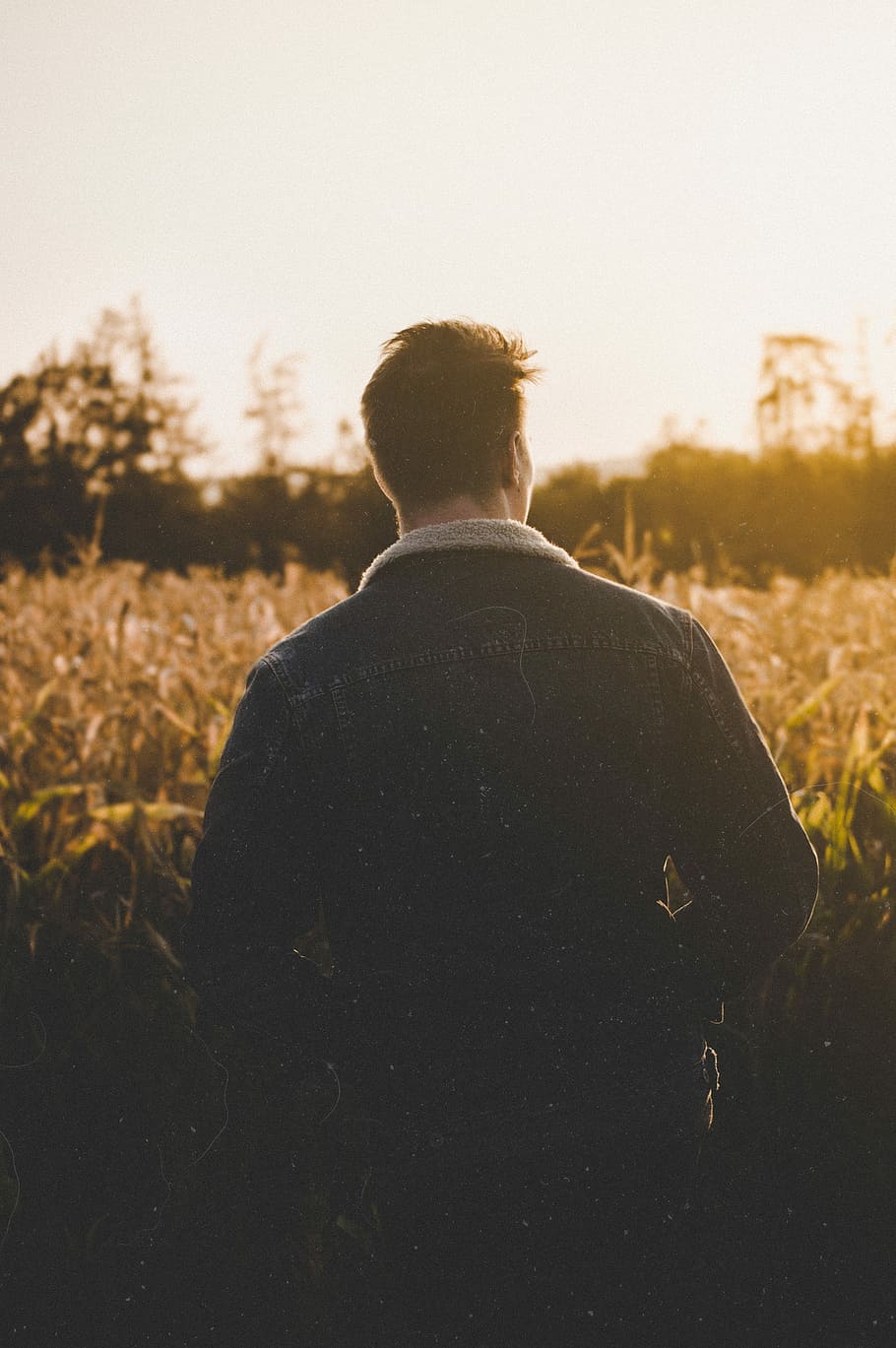 man standing near grasses, golden hour photography of man facing grass field HD wallpaper