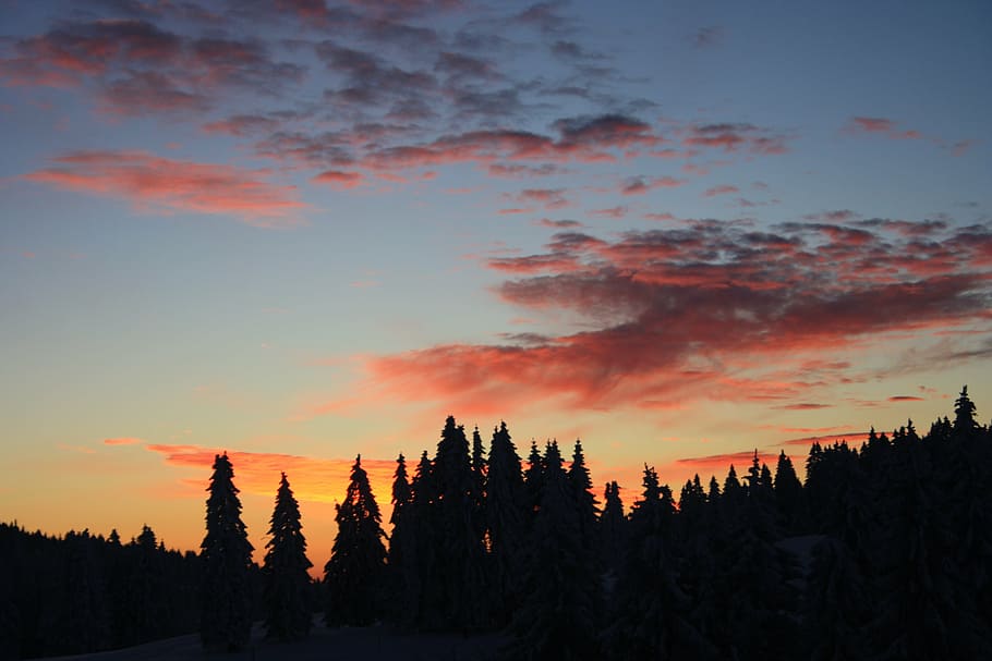 sunset, nature, abendstimmung, landscape, evening sky, tree HD wallpaper