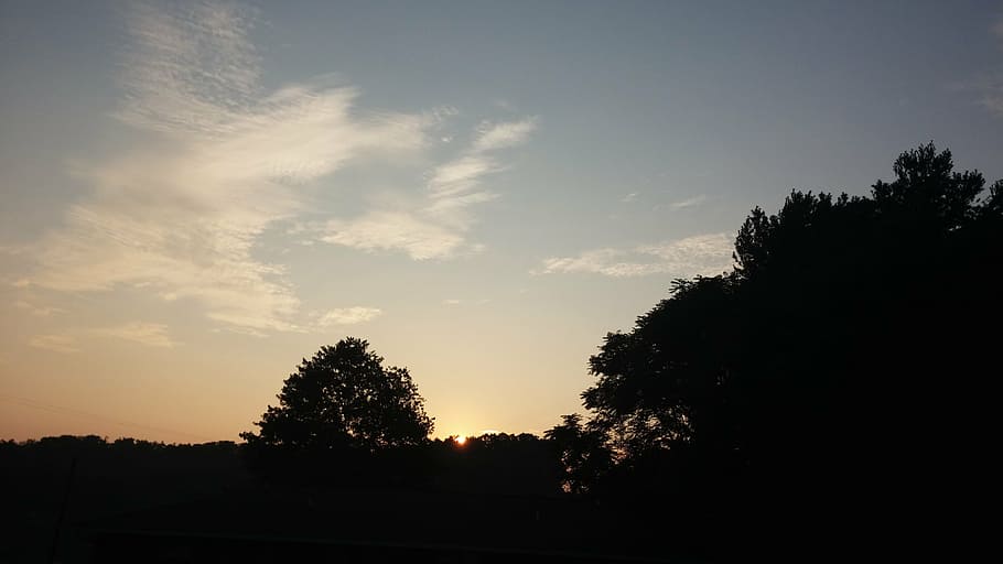 sunrise, trees, clouds, horizon, scene, outdoor, plant, sky HD wallpaper