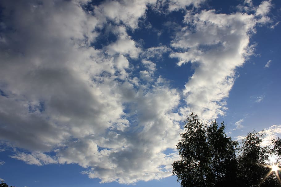 Tree, Clouds, Outdoors, Scenic, sky, tranquil, stratosphere HD wallpaper