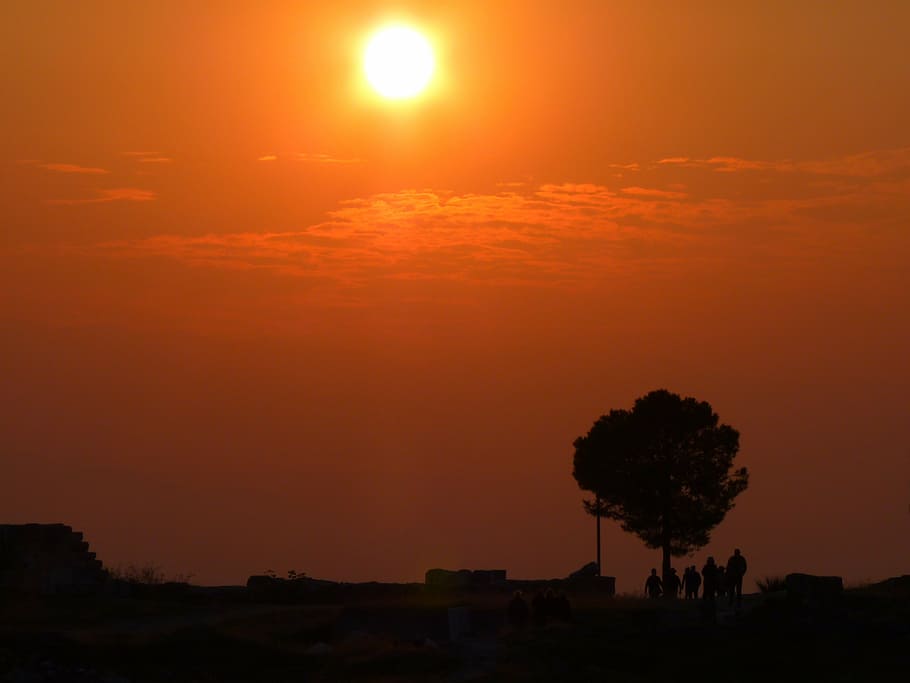sunset, abendstimmung, tree, romance, sky, silhouette, beauty in nature HD wallpaper