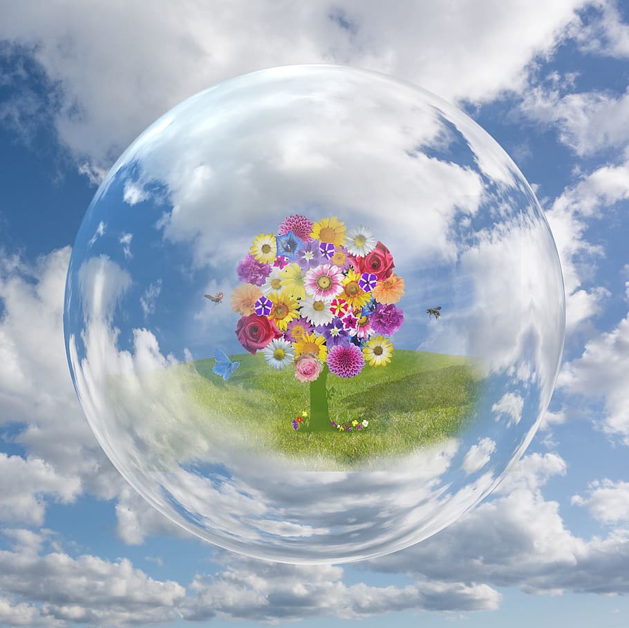assorted-color daisies and roses inside bubble, clouds, clouded sky