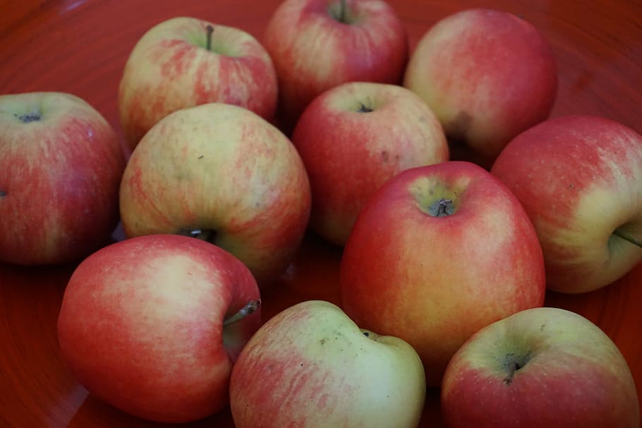 apple, shell, autumn, healthy eating, food and drink, fruit HD wallpaper