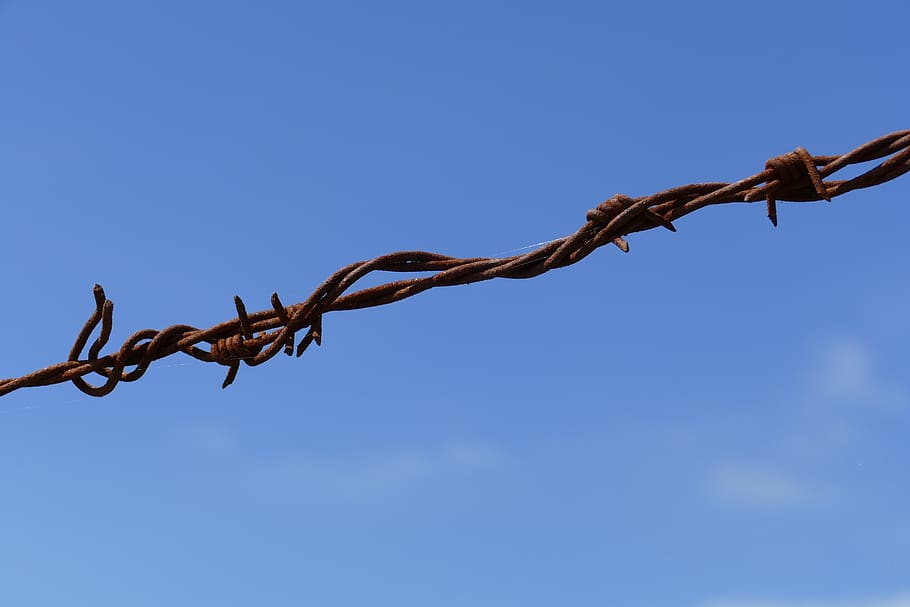 barbed wire, rust, sharp, point, caught, obstacle, protection HD wallpaper