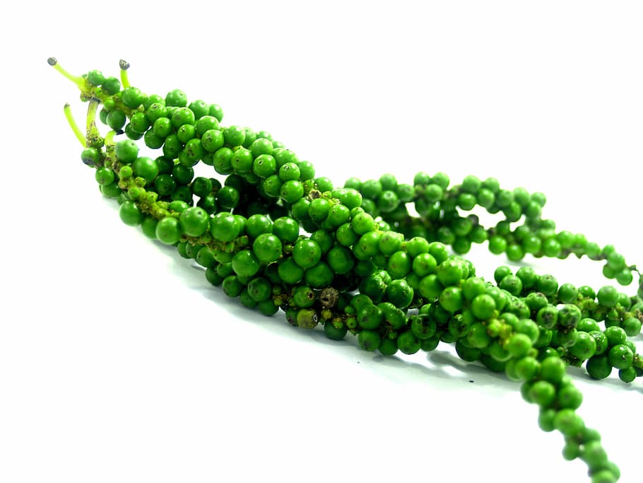 antioxidant, aromatic, bell pepper, black, black pepper, circle HD wallpaper