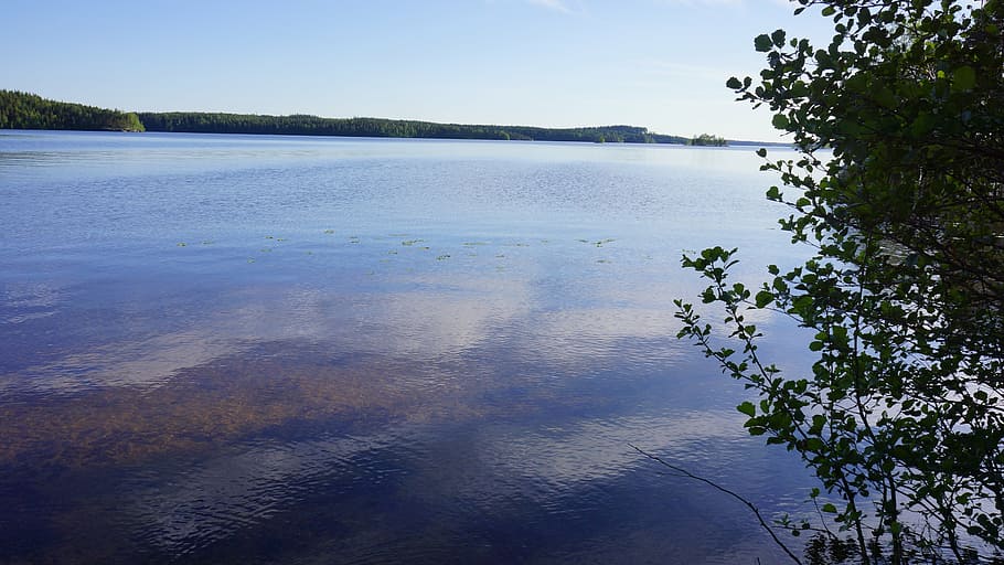 finnish, lake, beach, summer, midsummer, high summer, yötönyö HD wallpaper