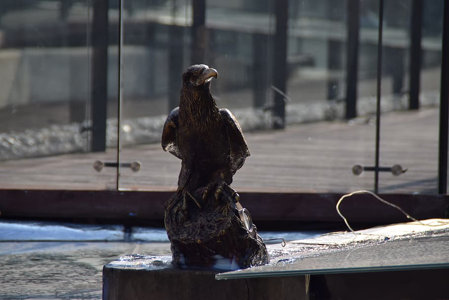 carving, stone carving, model, pride, sharp, eagle, sculpture HD wallpaper