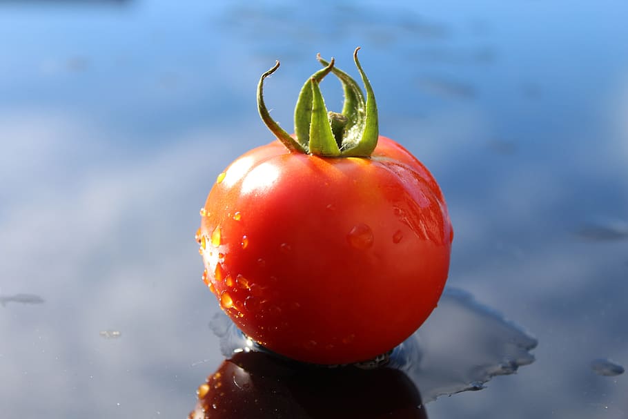 Tomato, Ripe, Vegetables, Frisch, red, healthy, eat, food, vitamins HD wallpaper