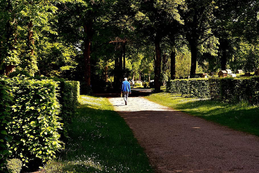person walking on road between trees, Cemetery, Memory, Lonely HD wallpaper