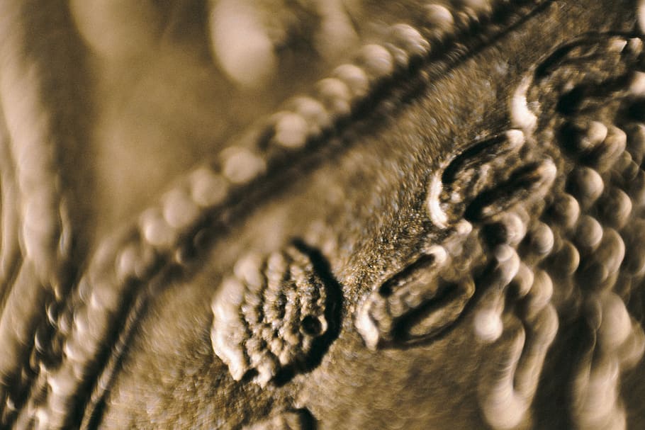 Closeup view of gold abstract backgound, detail, background, golden HD wallpaper