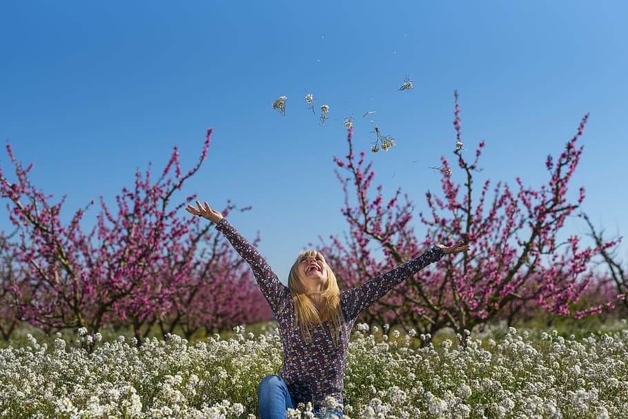 selective focus photography of woman in the middle of white flower field, HD wallpaper