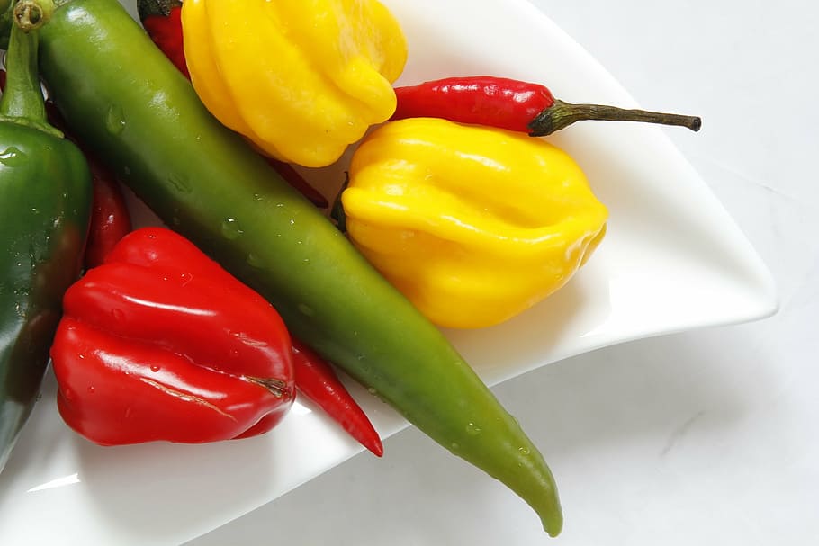 feferon, pepper, cuisine, food and drink, vegetable, bell pepper HD wallpaper