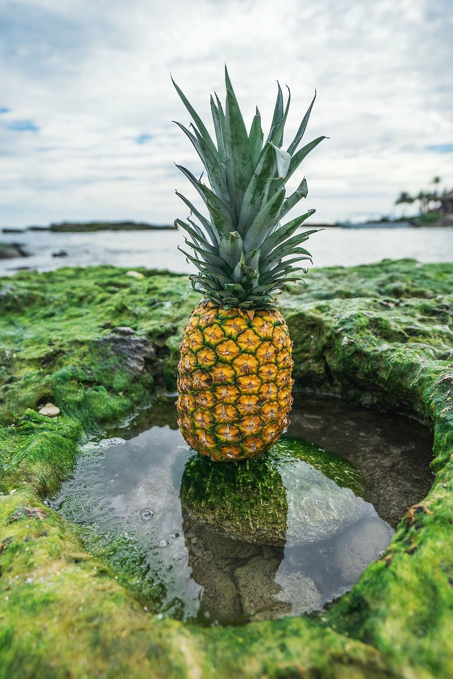 close view of Pineapple on rock above water, dessert, appetizer HD wallpaper