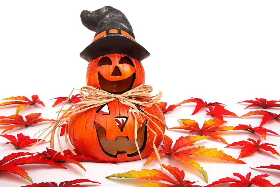 Autumn, Decoration, Face, Fall, funny, gourd, halloween, head, HD wallpaper