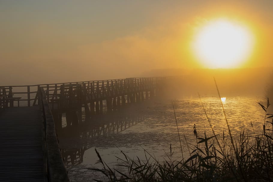 empty dock under golden hour, sunrise, web, reed, nature, mood HD wallpaper