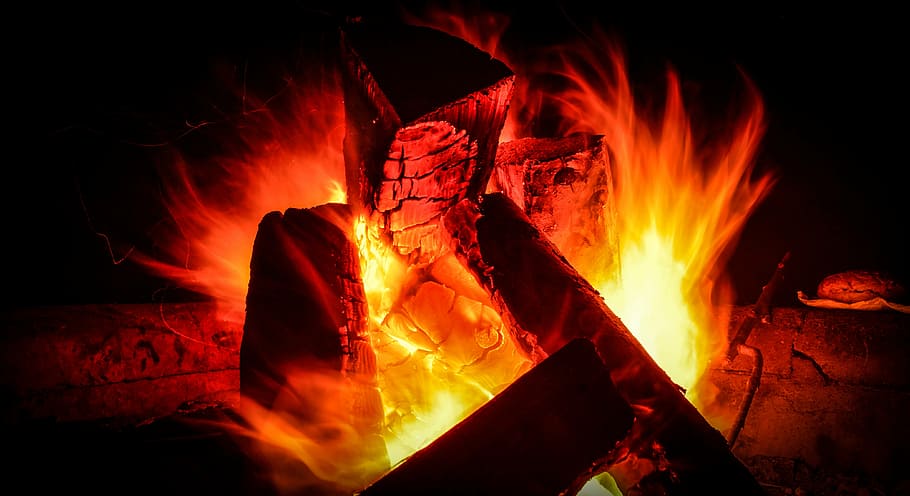 campfire, tree, fire - Natural Phenomenon, heat - Temperature HD wallpaper