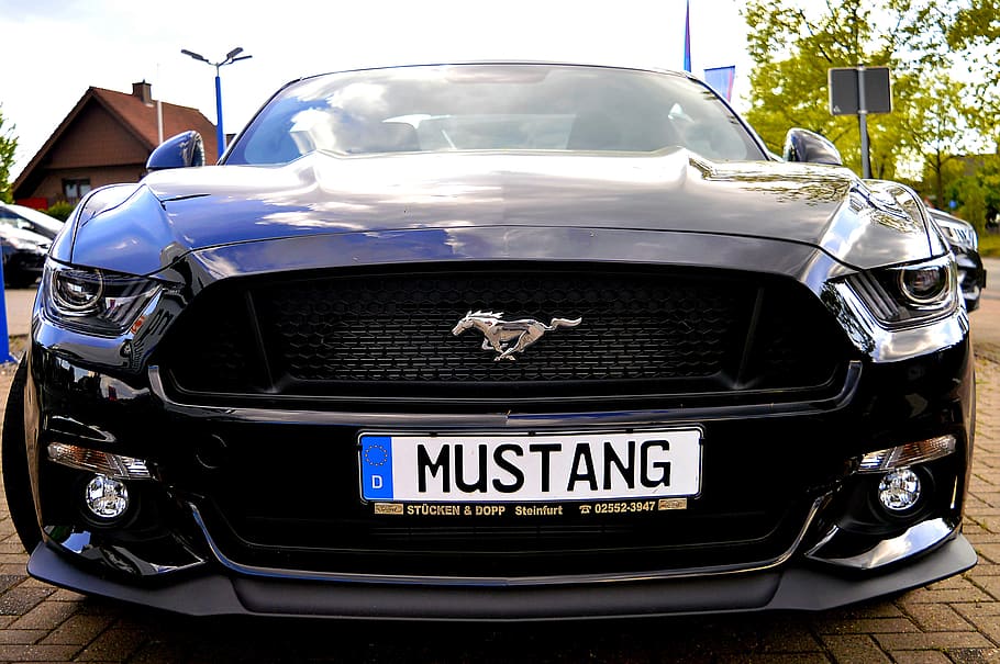 Mustang, Sports Car, car mustang, vehicle, automotive, ford, HD wallpaper