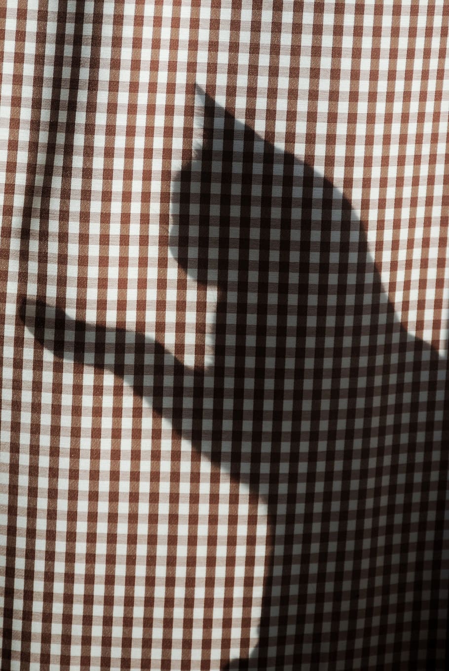 Shadow, Cat, Curtain, Shadow Play, mieze, silhouette, domestic cat HD wallpaper