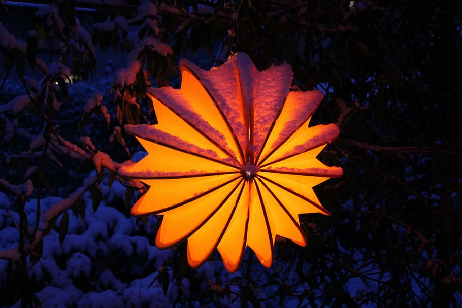 orange flower lamp, lampion, weatherproof, robust, snow, lighting, HD wallpaper