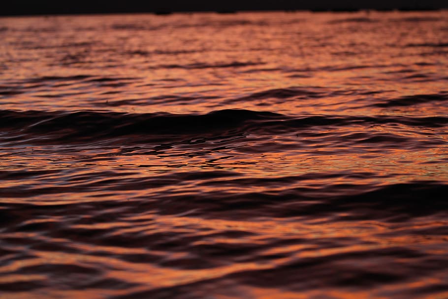 calm body of water on focus photo, body of water, wave, texture HD wallpaper