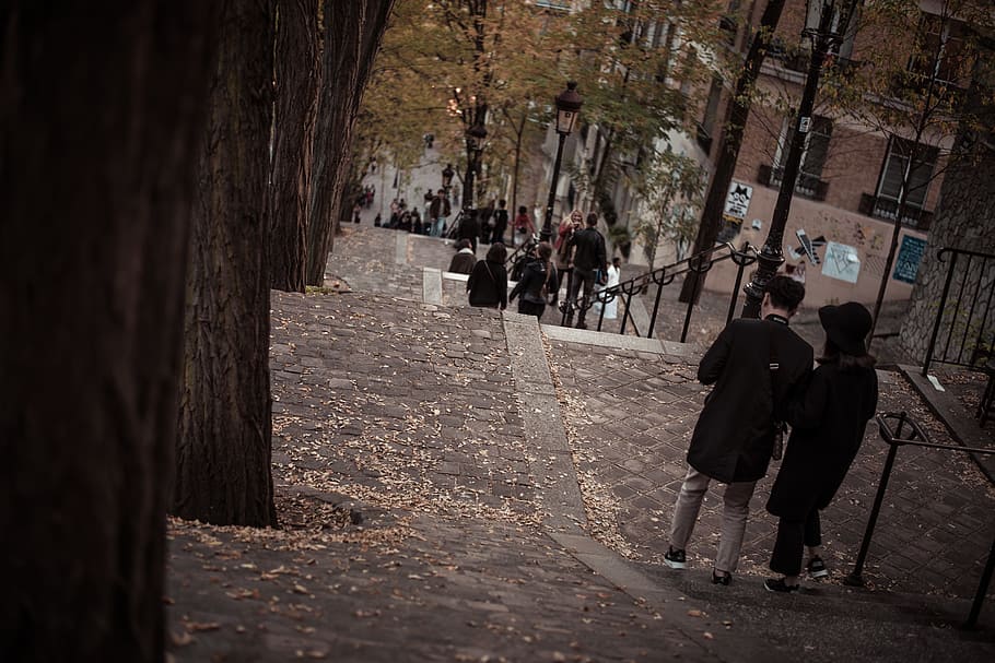 trees, wood, leaf, fall, autumn, people, men, women, friends HD wallpaper