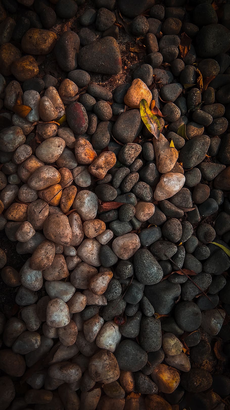 batch, closeup, desktop, food, seed, no people, high angle view HD wallpaper