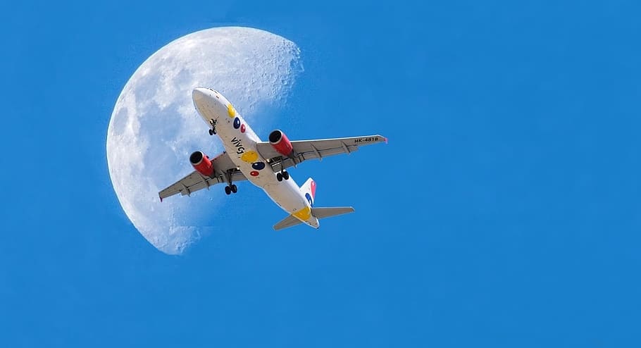 white airbus, plane, moon, ceu, blue sky, seagull, day, nature