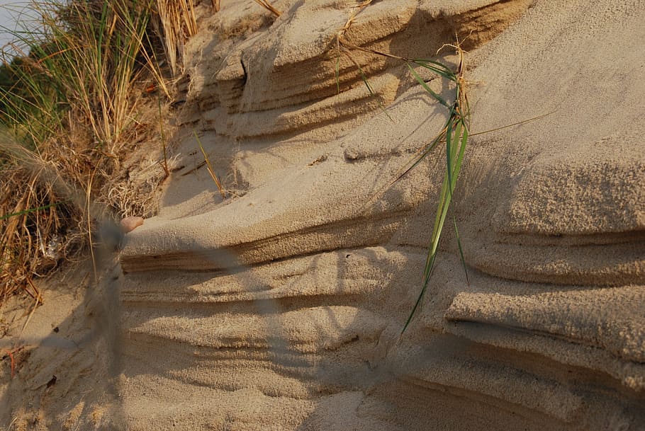 beach, dune, grass, baltic sea, land, sand, day, nature, plant HD wallpaper