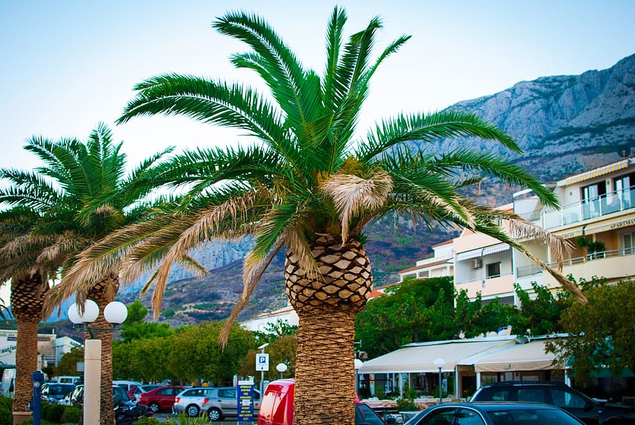 palma, croatia, mountains, holiday, holidays, rest, city, summer, HD wallpaper