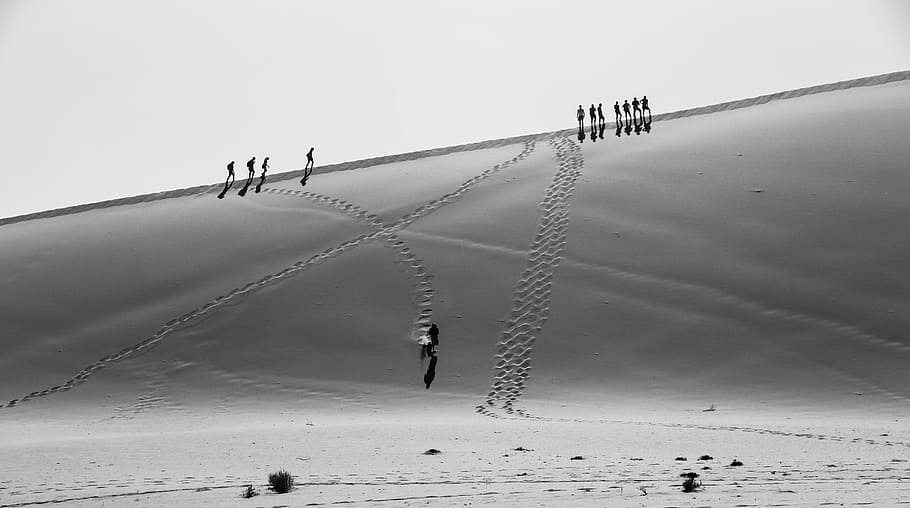 grayscale photo of people walking on desert, grayscale photo of group of walking people HD wallpaper