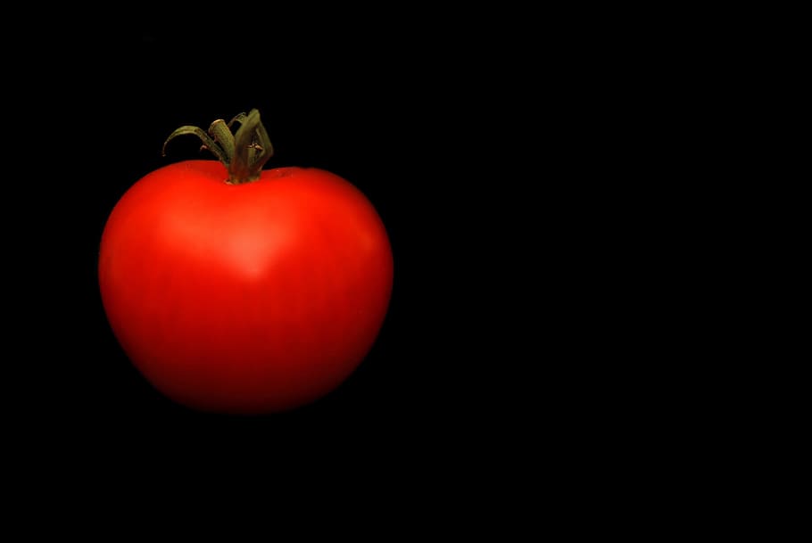 tomato, vegetable, garden, plum, edible, gastronomy, lycopene, HD wallpaper