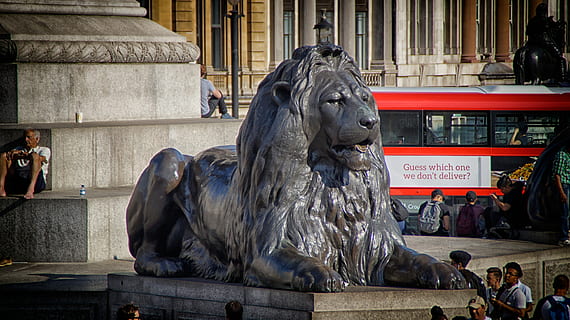 Lion, Image, Bronze Statue, art, england, architecture, famous Place HD wallpaper