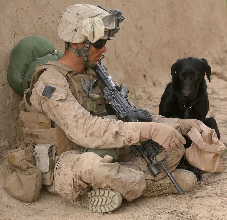 soldier sitting beside black dog, companion, service, military