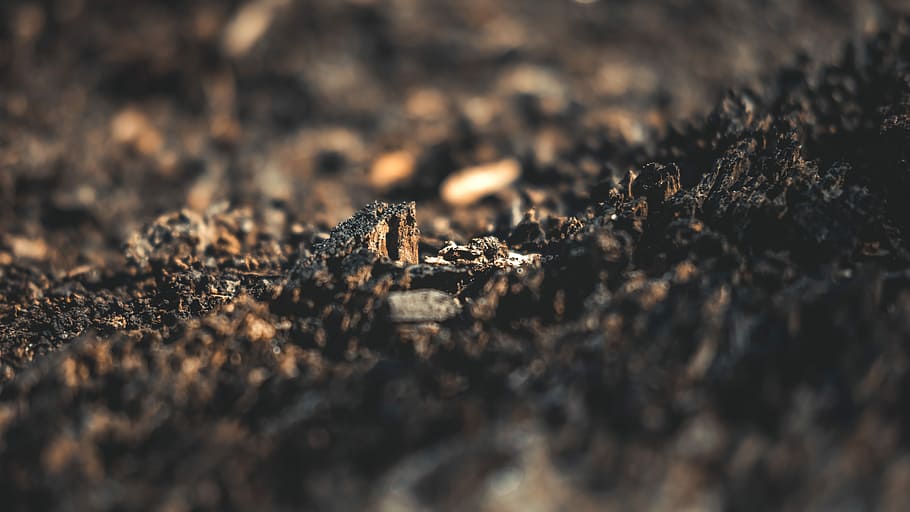 close up photography of black stones, close-up photo of soil HD wallpaper