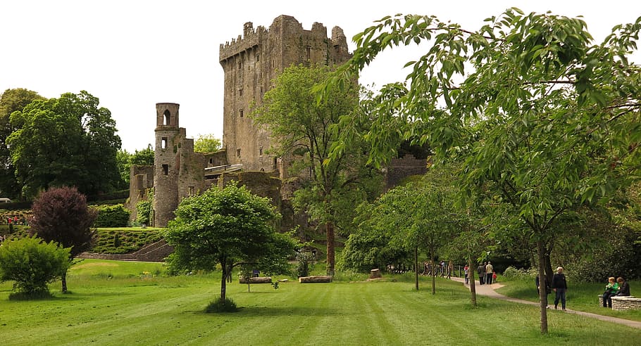 grey concrete castle surrounded with trees, blarney castle, ireland, HD wallpaper