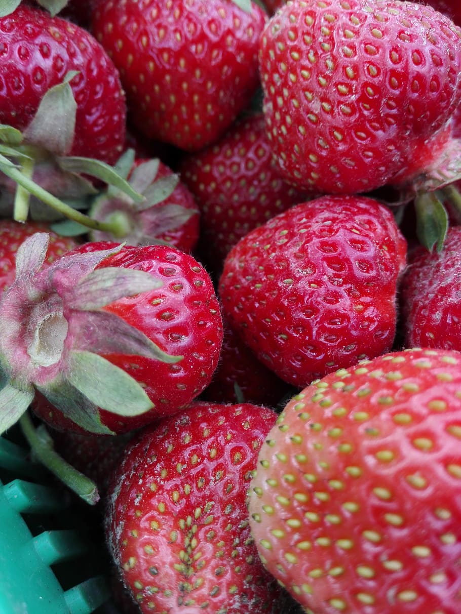 Strawberries, Red, Fruit, Fruit, Eating, strawberry, healthy HD wallpaper