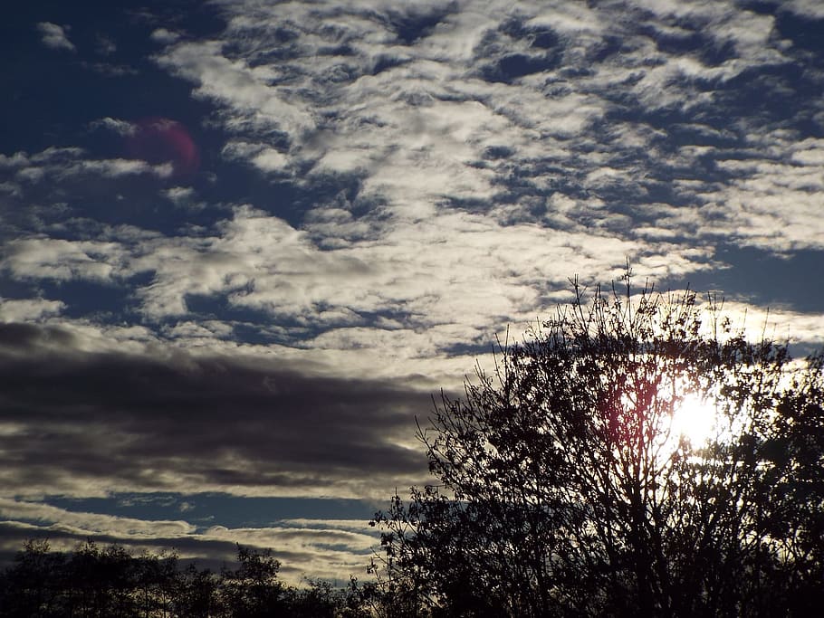 Sun, Tree, Sunset, Nature, sky, background, setting sun, clouds HD wallpaper