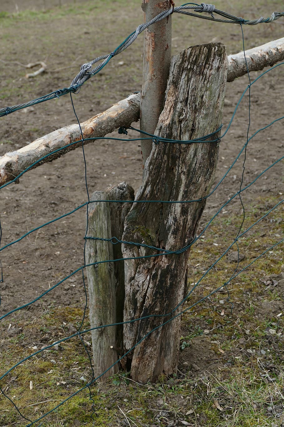 Paddock, Fence, Wire, Tribe, Nature, simply, no people, day HD wallpaper
